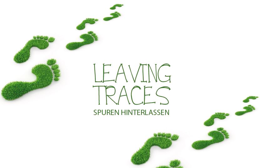 Öko-Flusenroller mit Kartongriff, 5m Motiv Spuren Öko-Flusenroller mit Kartongriff, 5m Motiv Spuren